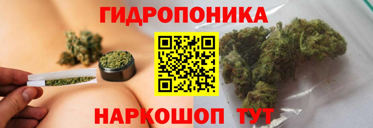Чайковский  МАРИХУАНА марихуана  Вход с VPN  Бошки Шишки Bruce Banner 